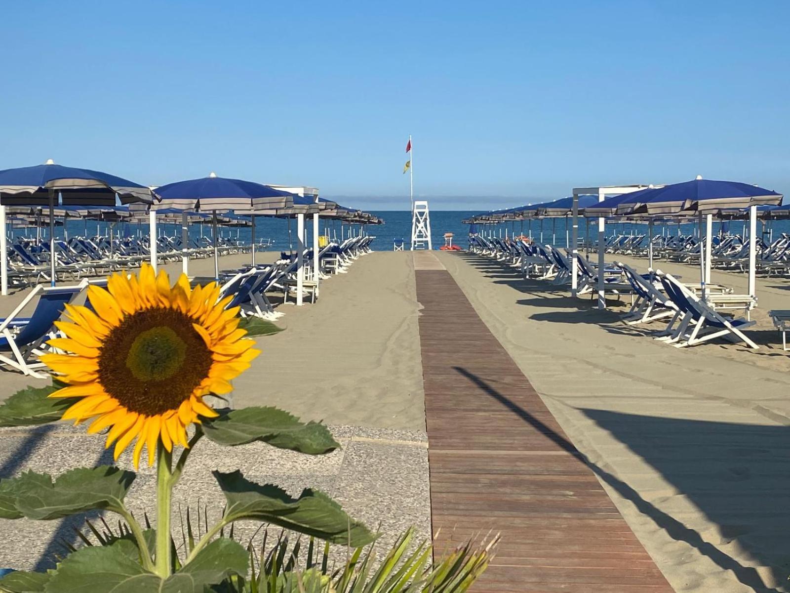 Resort Cosmopolitan Golf &
