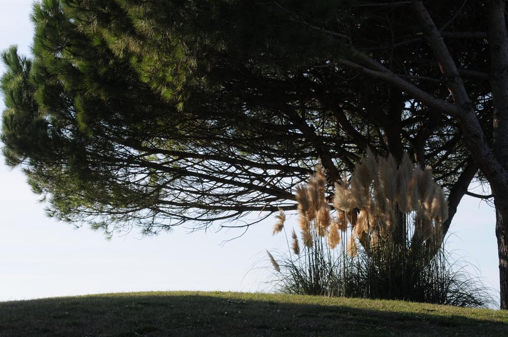 Cosmopolitan Golf & Tirrenia